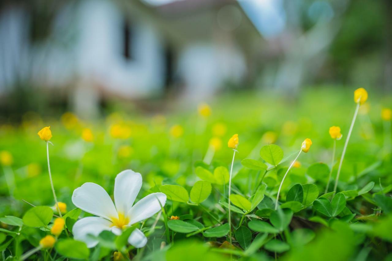 Bai Jai Garden Home Ао Нанг Экстерьер фото